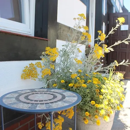 Проживание в семье Flauta Ii Устка