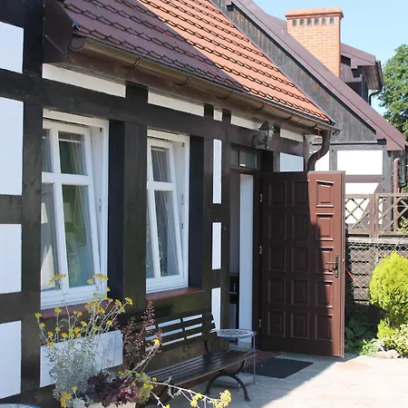 Проживание в семье Flauta Ii