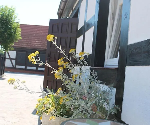 Flauta Ii * Ustka