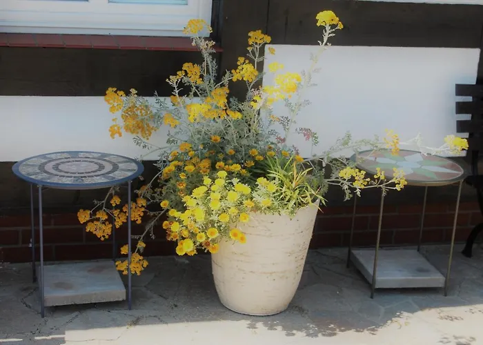 Проживание в семье Flauta Ii *