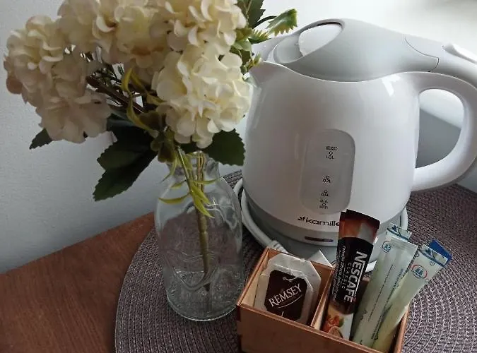 Проживание в семье Flauta Ii Устка