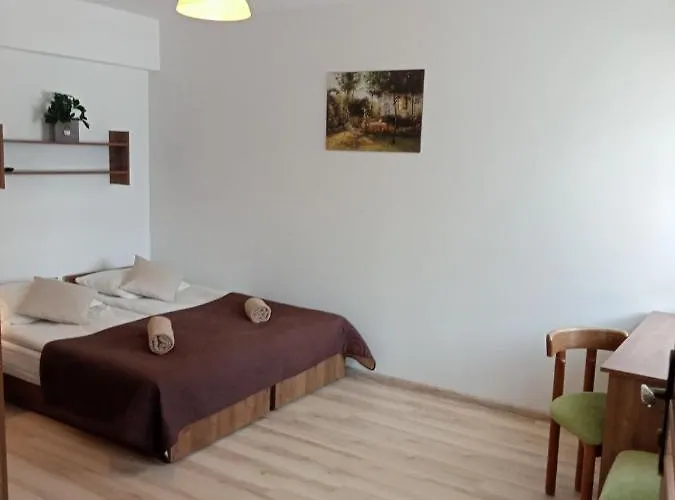 Проживание в семье Flauta Ii