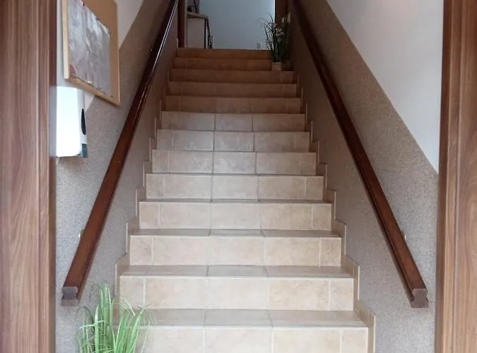 Проживание в семье Flauta Ii